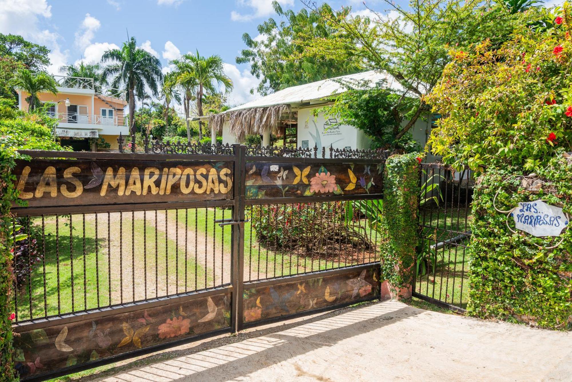 Las Mariposas Las Galeras Exteriör bild