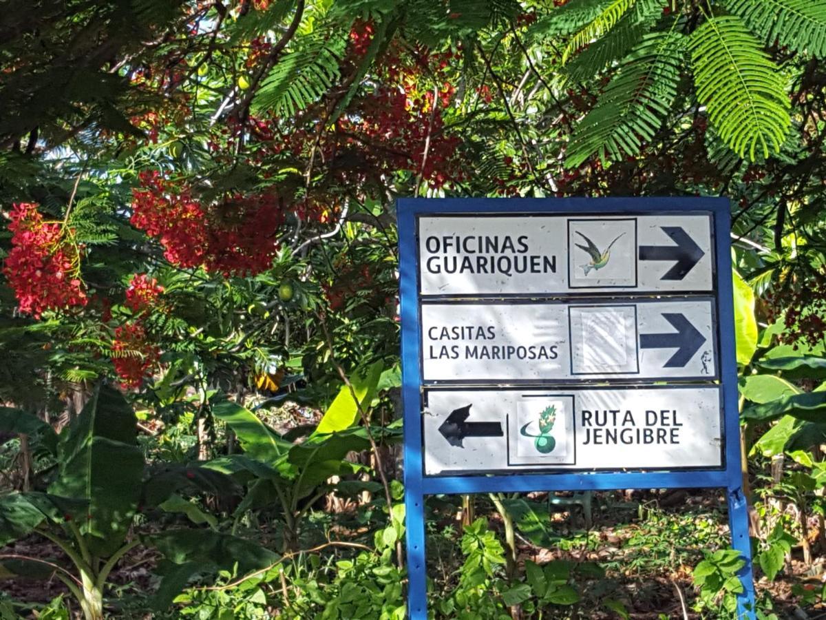 Las Mariposas Las Galeras Exteriör bild